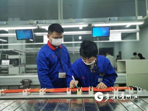比亚迪贵阳弗迪动力高压电气工厂首批线束产品下线